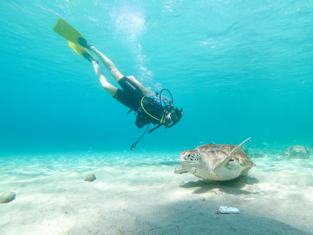 Scuba Diving in Curaçao 4 Epic Dives with Go West Diving travelhelix